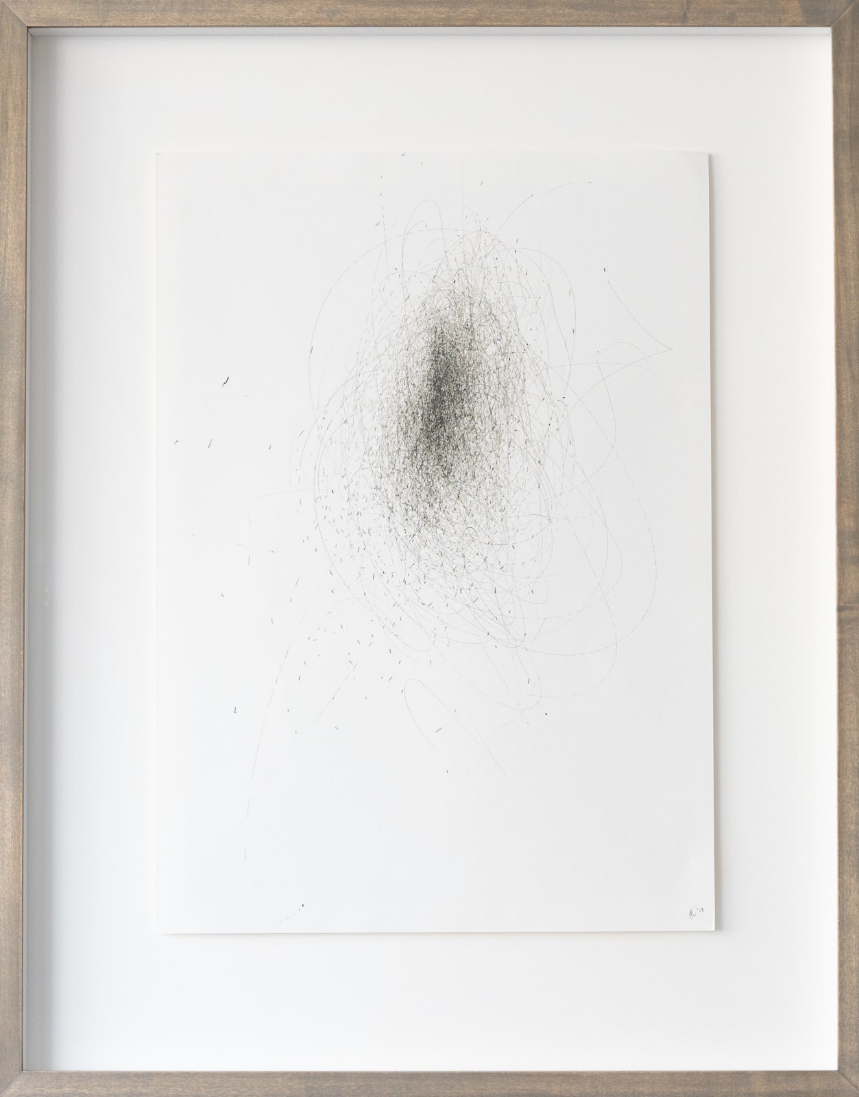 Julie Leach, Wind Drawing 05.11.2016 - wind through the Rhododendron, 13 mph northerly, 180 minutes, 2016
