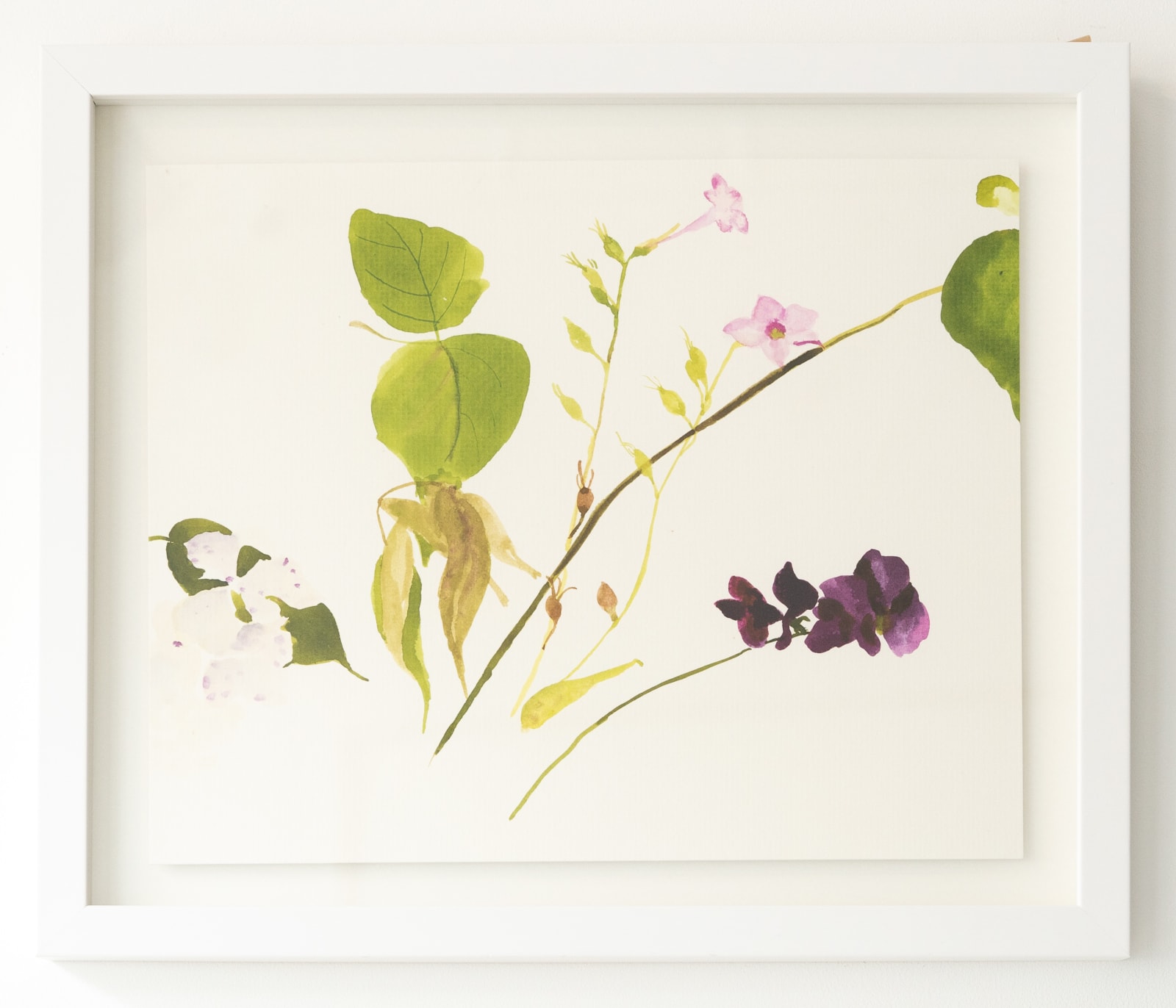 Nickie Carlyon, Flower Meditation No. 39, 2020