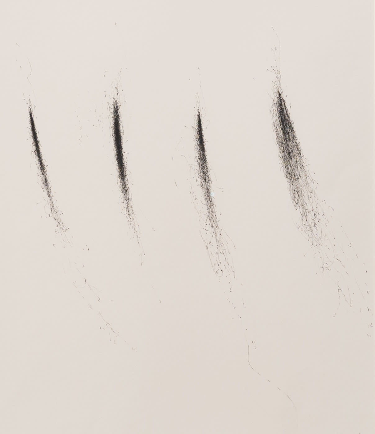 Julie Leach, Wind Drawing 11.01.2017 Wind through the Hydrangea, 16 mph north westerly, 15 minutes x 4, 2017