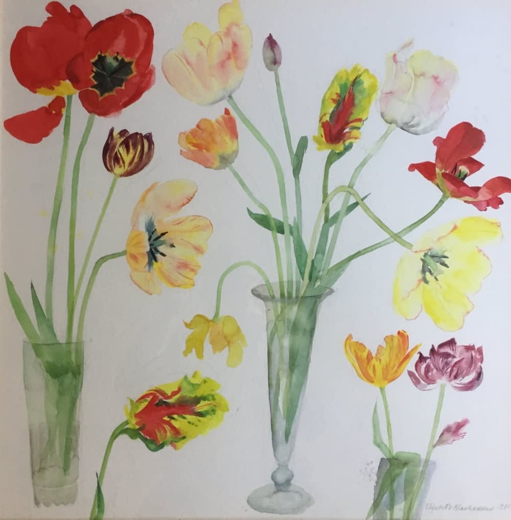 ELIZABETH BLACKADDER, Tulips, 1981