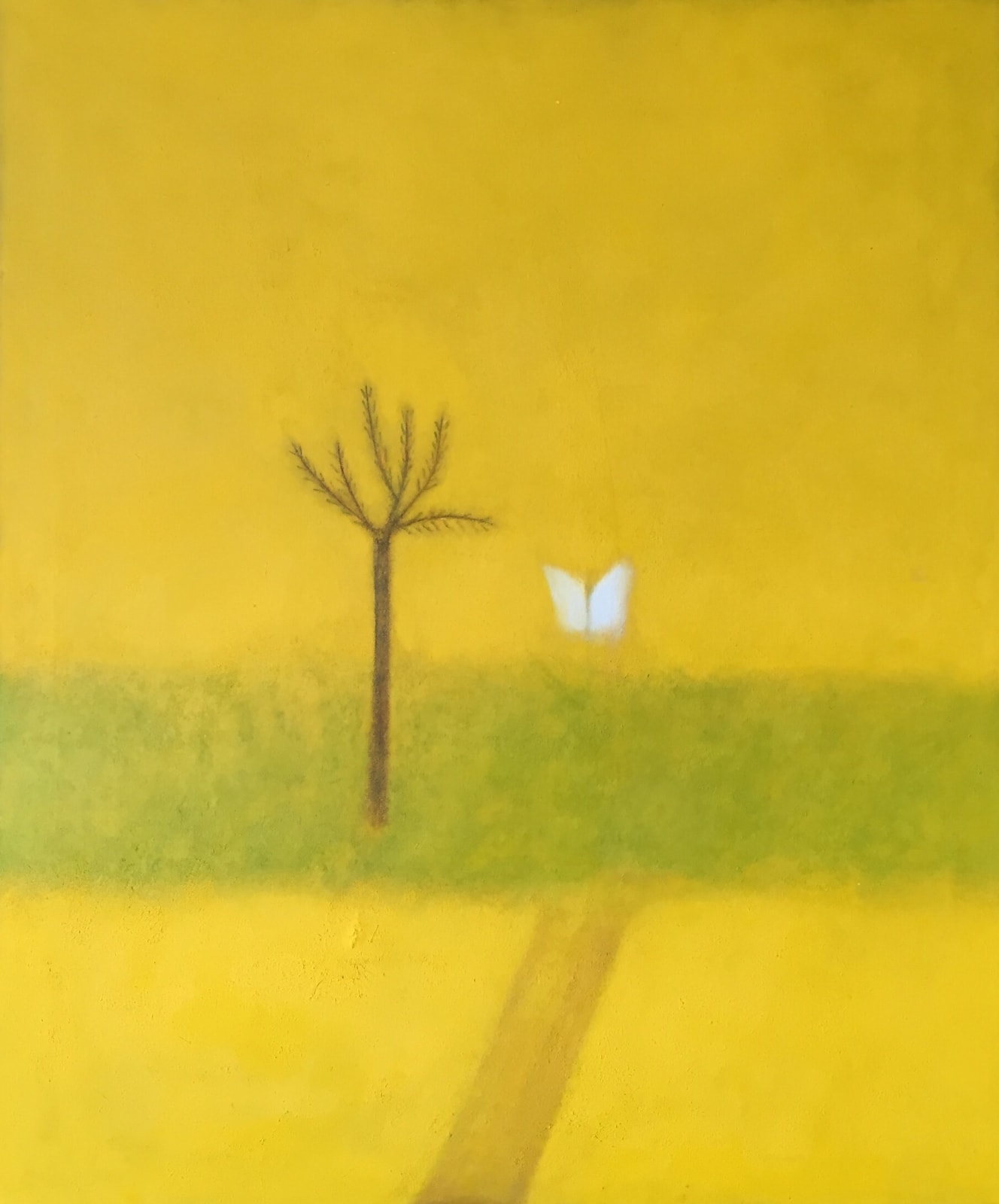 CRAIGIE AITCHISON CBE RA, White Butterfly, Yellow Painting, 1964
