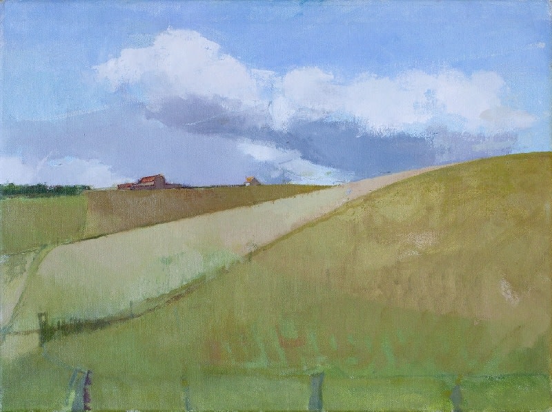 JANE PATTERSON, Downs from Cornish Farm, 2016