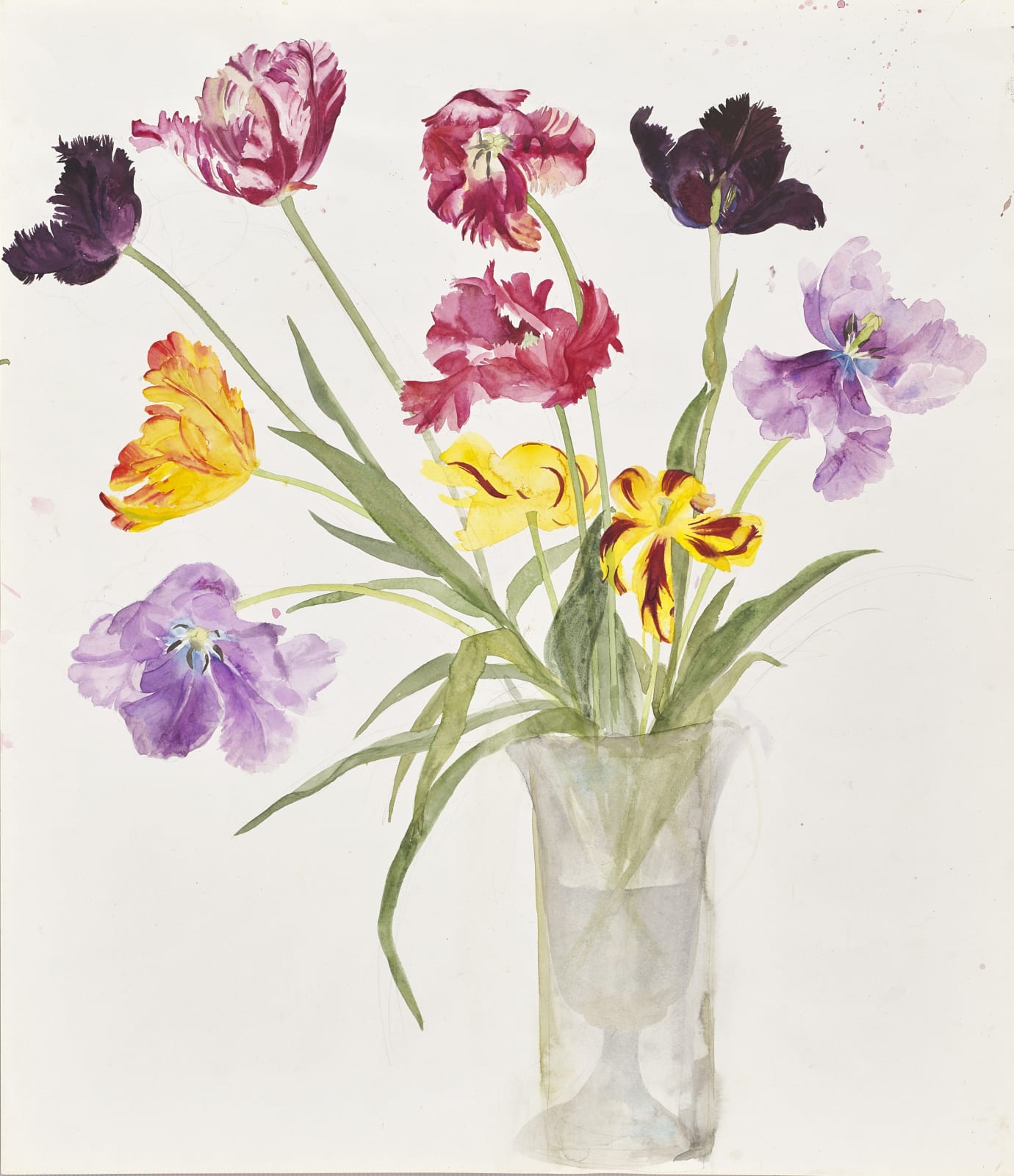 ELIZABETH BLACKADDER, Tulips in Vase