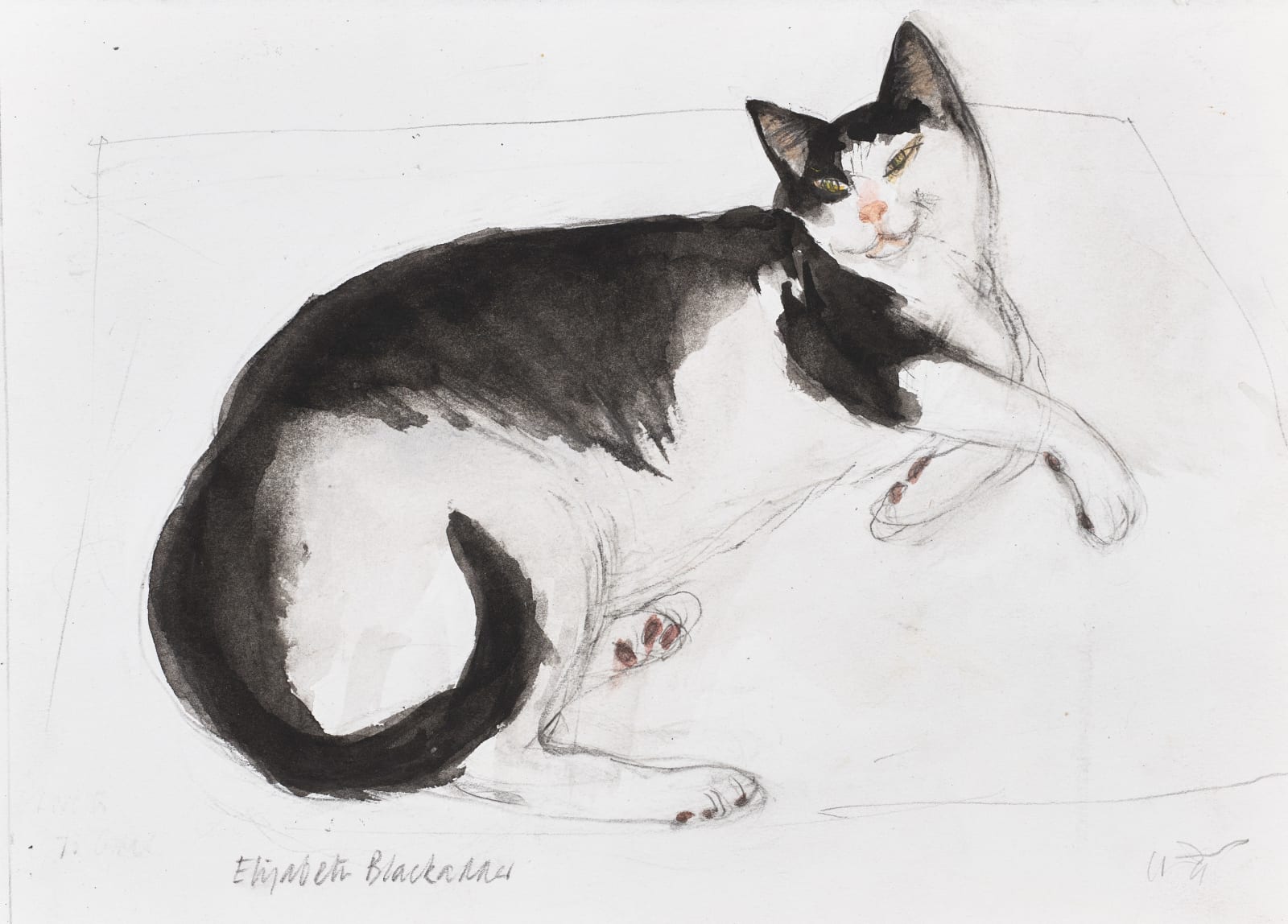 ELIZABETH BLACKADDER, Untitled - Toby, c. 2011