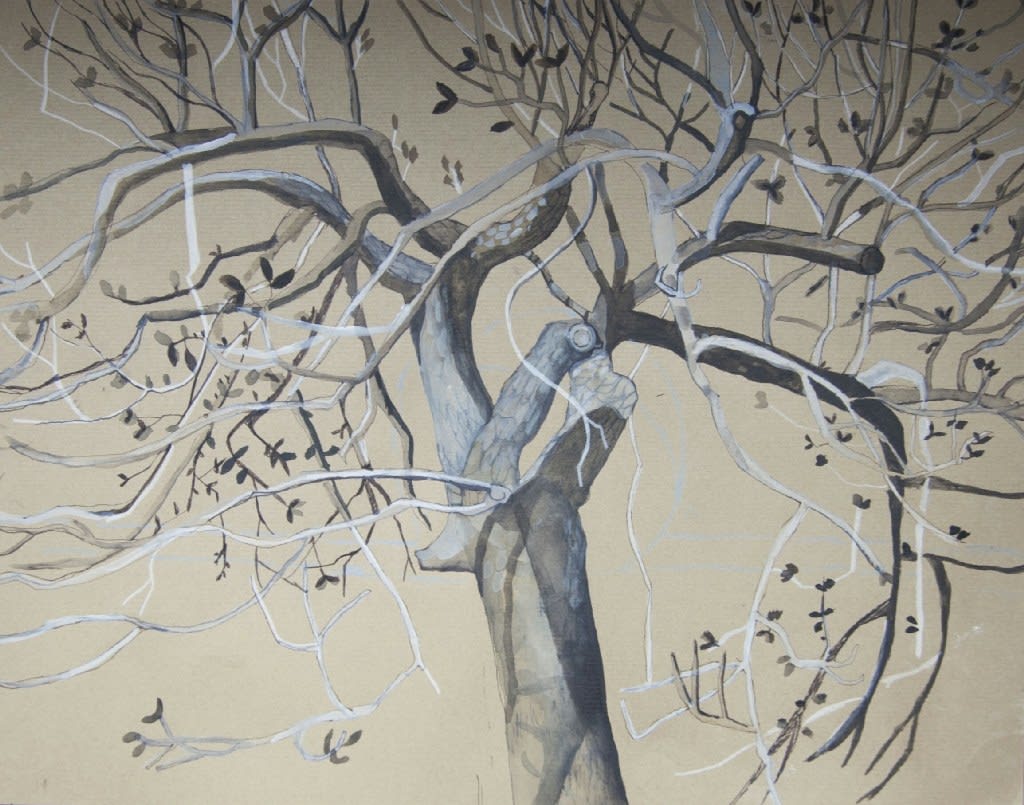 SOPHIE CHARALAMBOUS, Pecan Tree, 2016