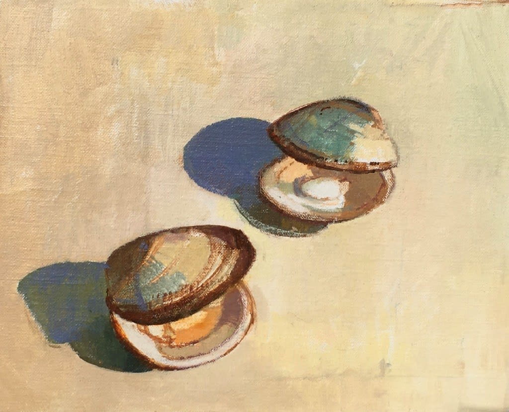 JANE PATTERSON, Shells, 2020