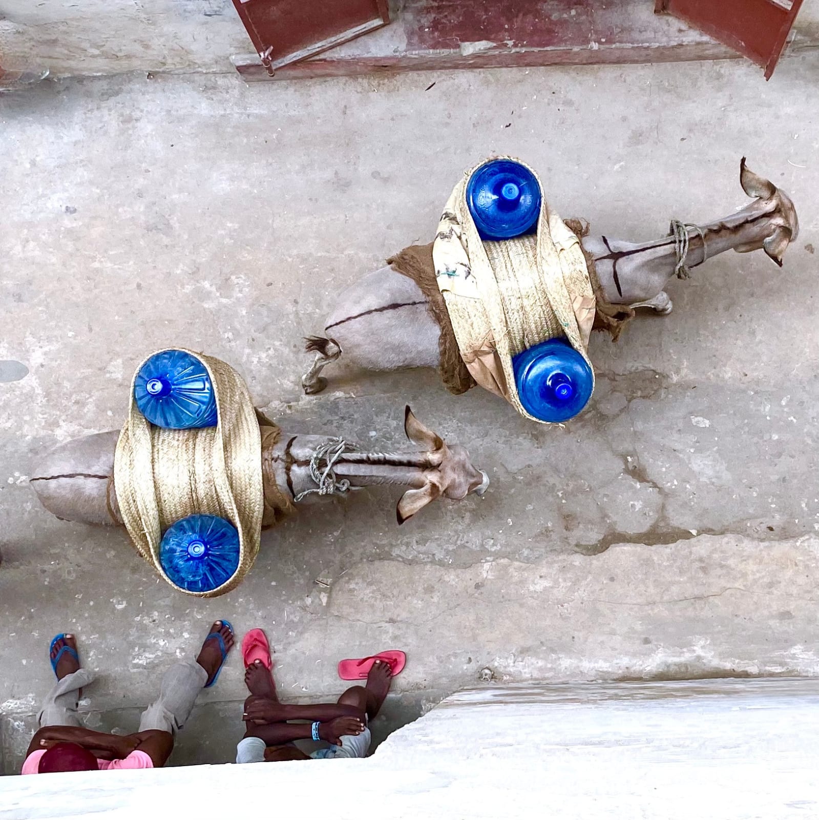 James Lindsay, Lamu Old Town. Kenya