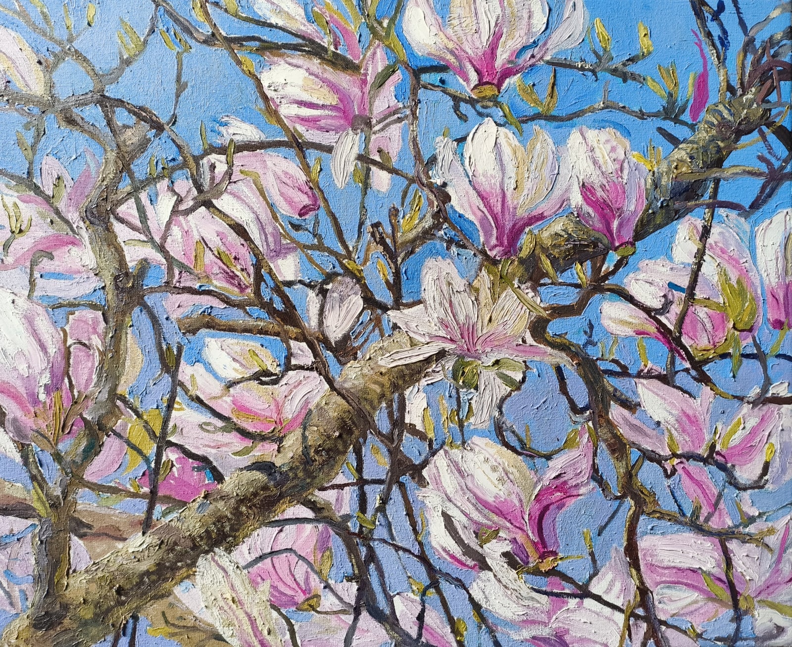 SUSAN WILSON, Blue Sky Magnolia, 2023