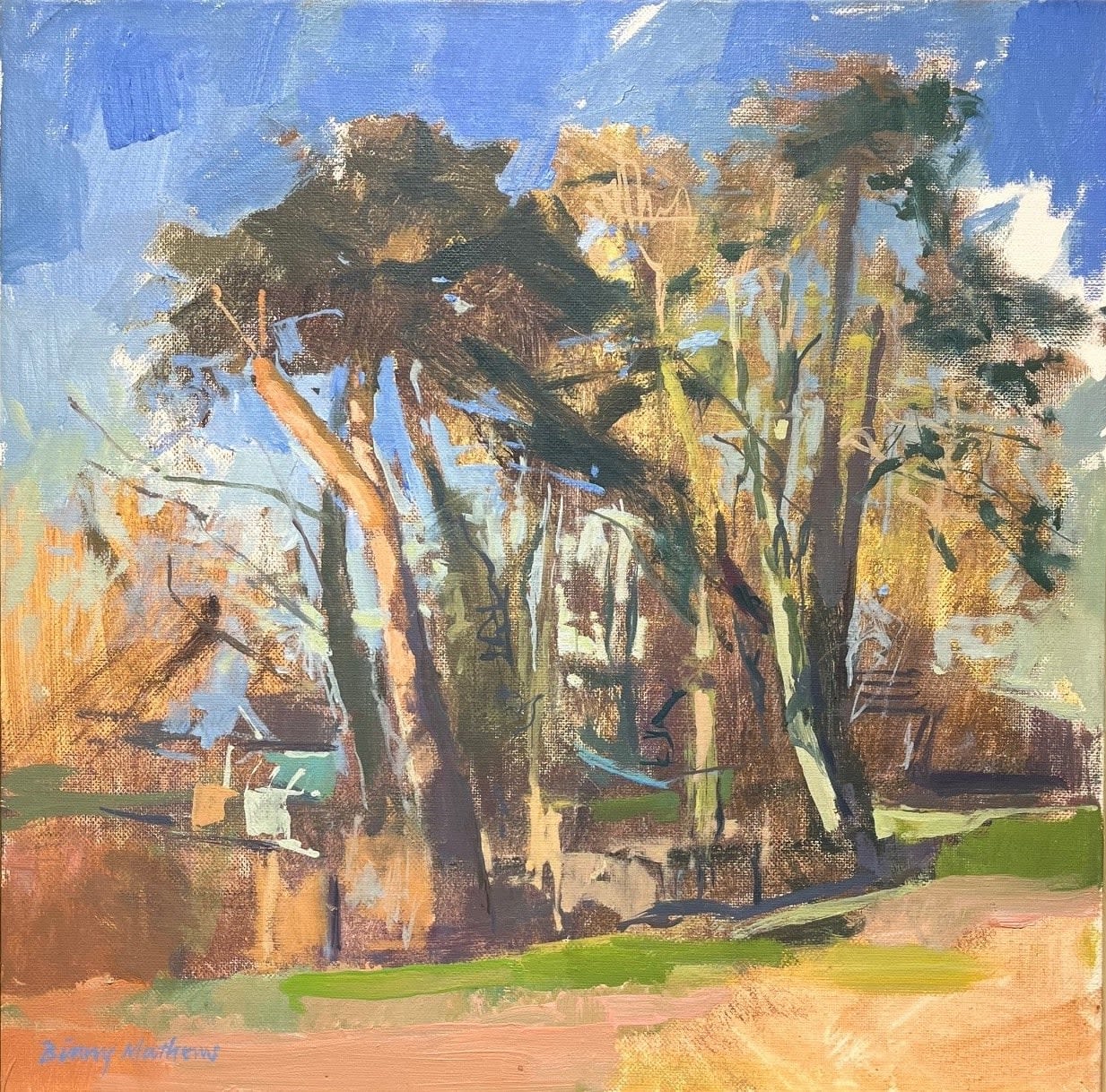 BINNY MATHEWS, Pinetum, Dorset, 2023