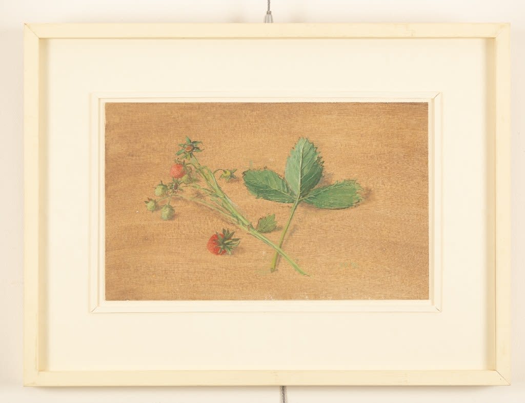CAROLYN SERGEANT, Strawberries, 1995