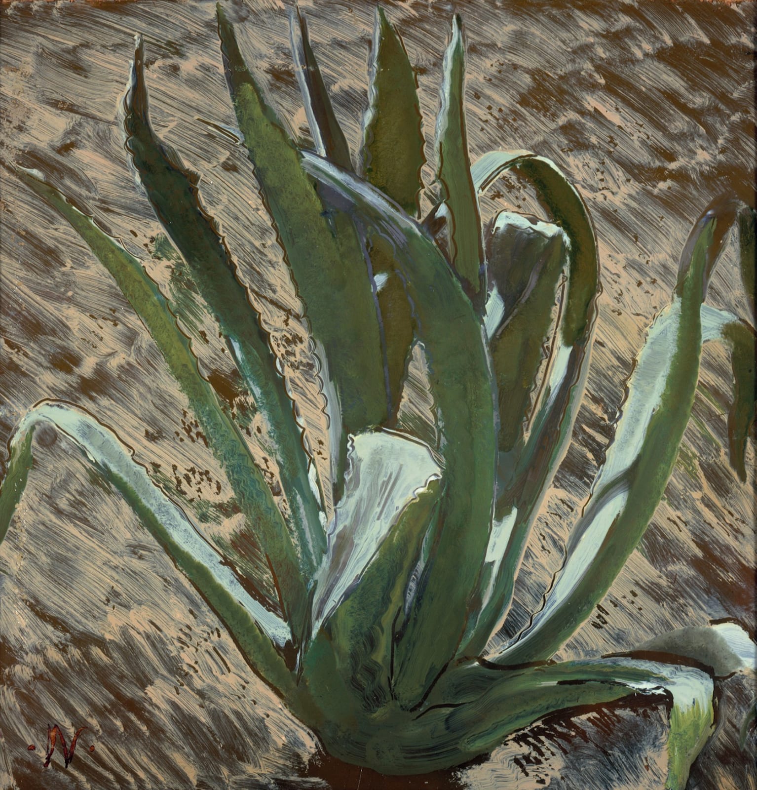 WILLIAM NICHOLSON, Cactus, 1935