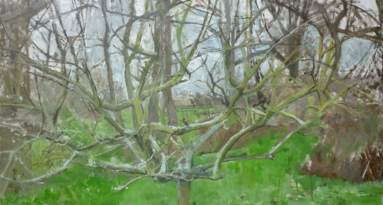 PATRICK GEORGE, Branches of the Apple Tree