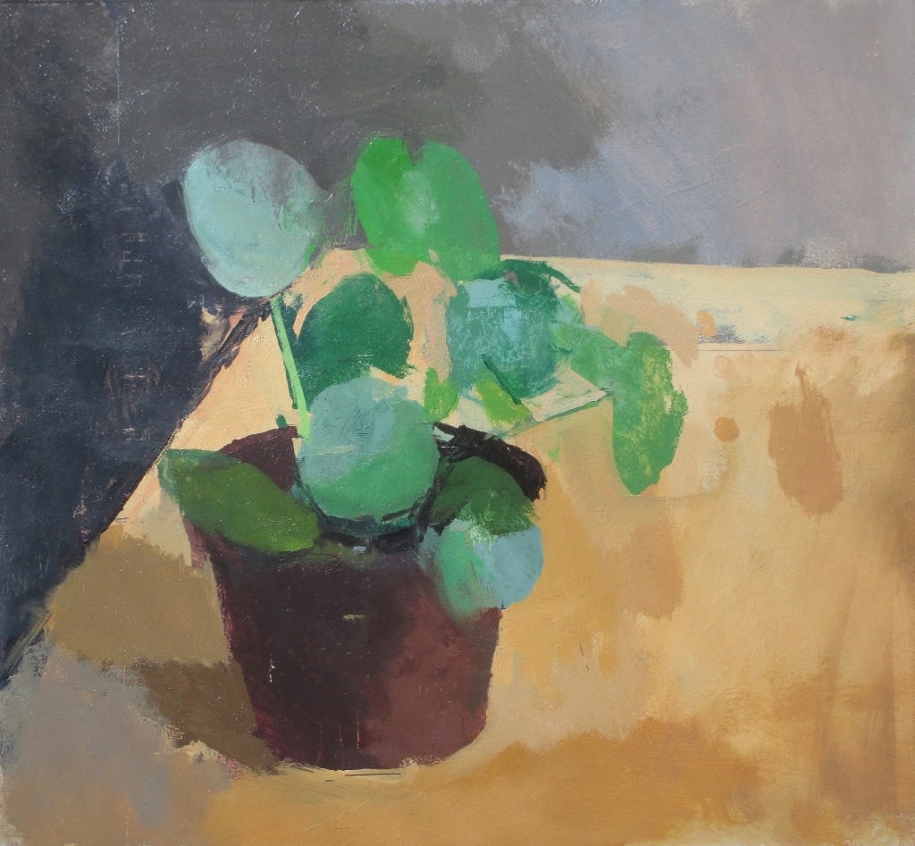 ROBERT DUKES, Chinese Money Plant, 2020