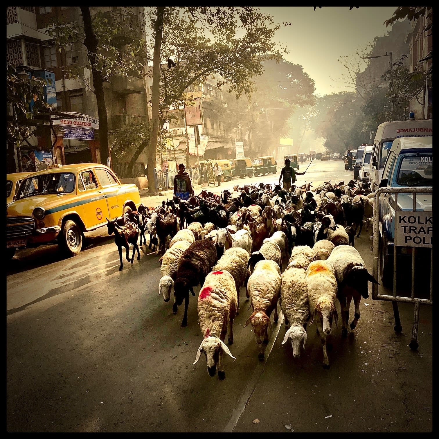 JAMES LINDSAY, Off to market