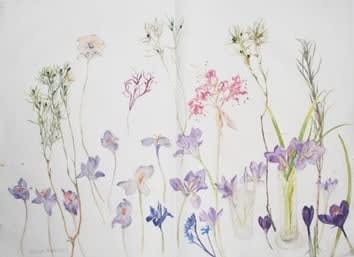 ELIZABETH BLACKADDER, Irises and Crocuses