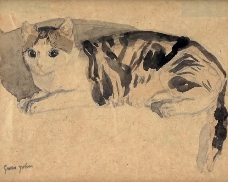 GWEN JOHN, Tortoiseshell Cat Lying Down (Edgar Quinet), 1904-8