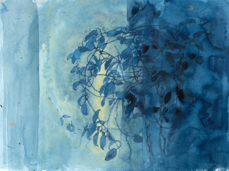 VICTORIA CROWE, Garden Room