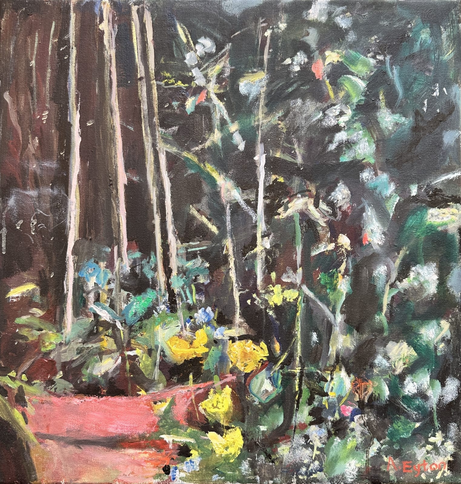 ANTHONY EYTON, Flower Pot, Evening Light