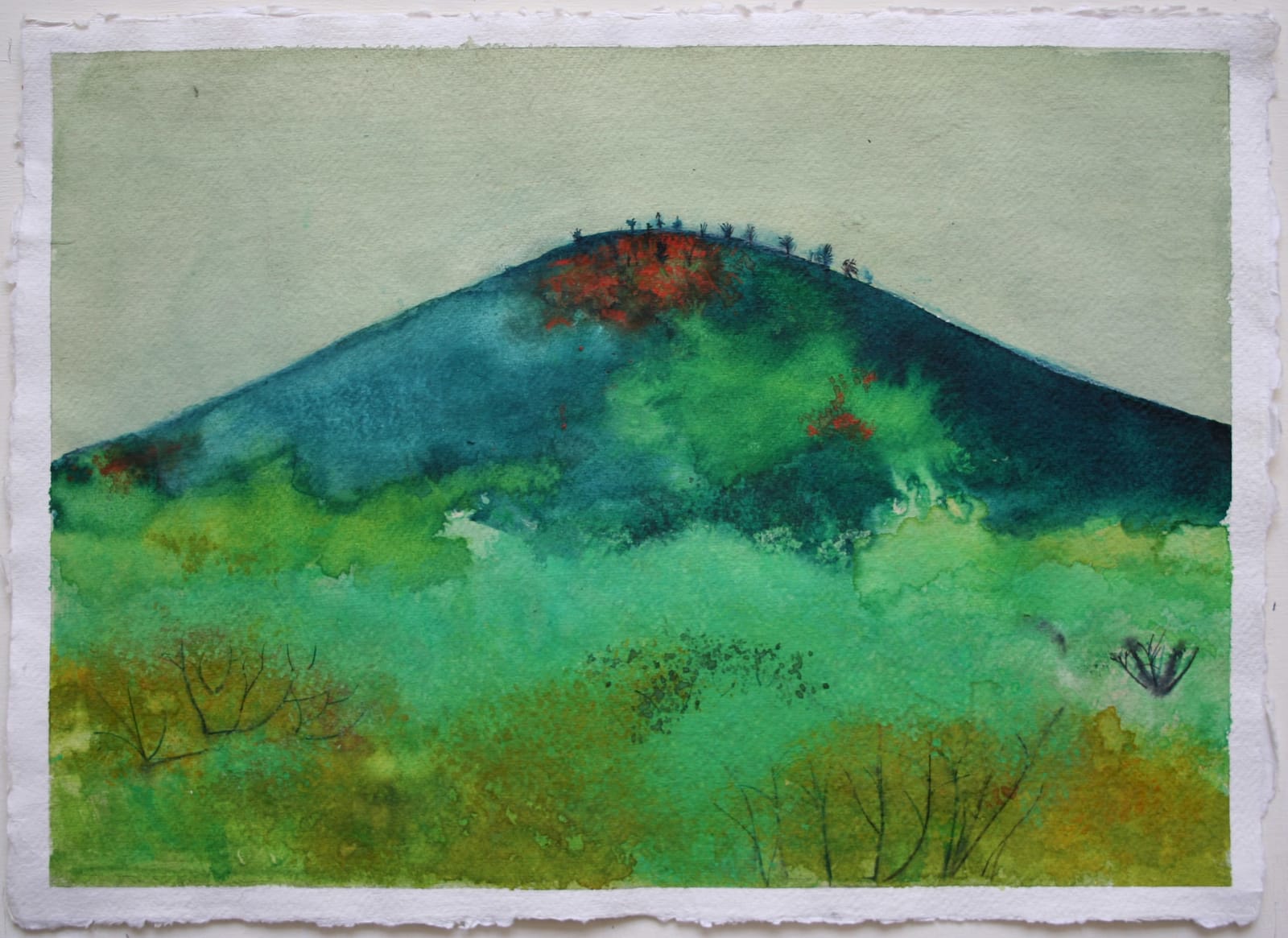 THOMAS LAMB, Trees in Autumn on Volcano, 2010