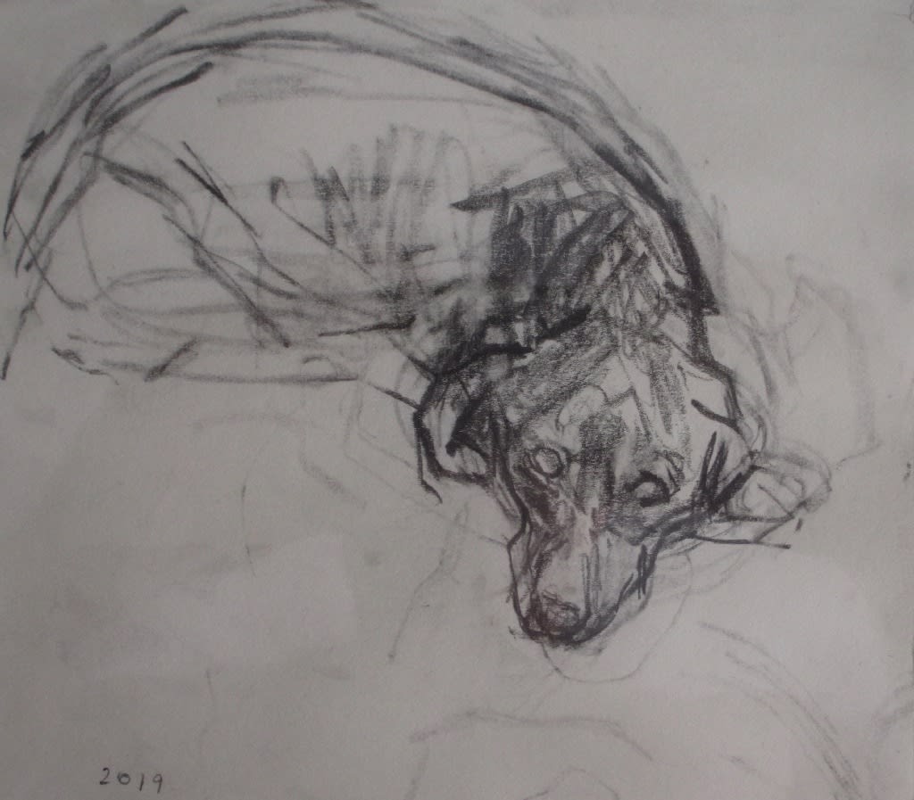 ROBERT DUKES, Marple Waking Up, 2019