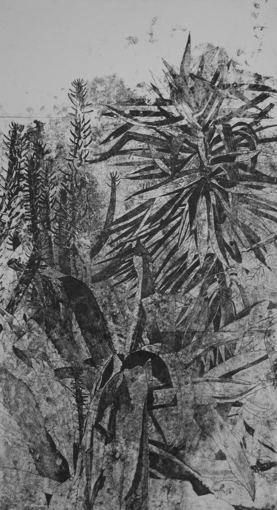 SOPHIE CHARALAMBOUS, Prickly Plants in the Garden, 2019