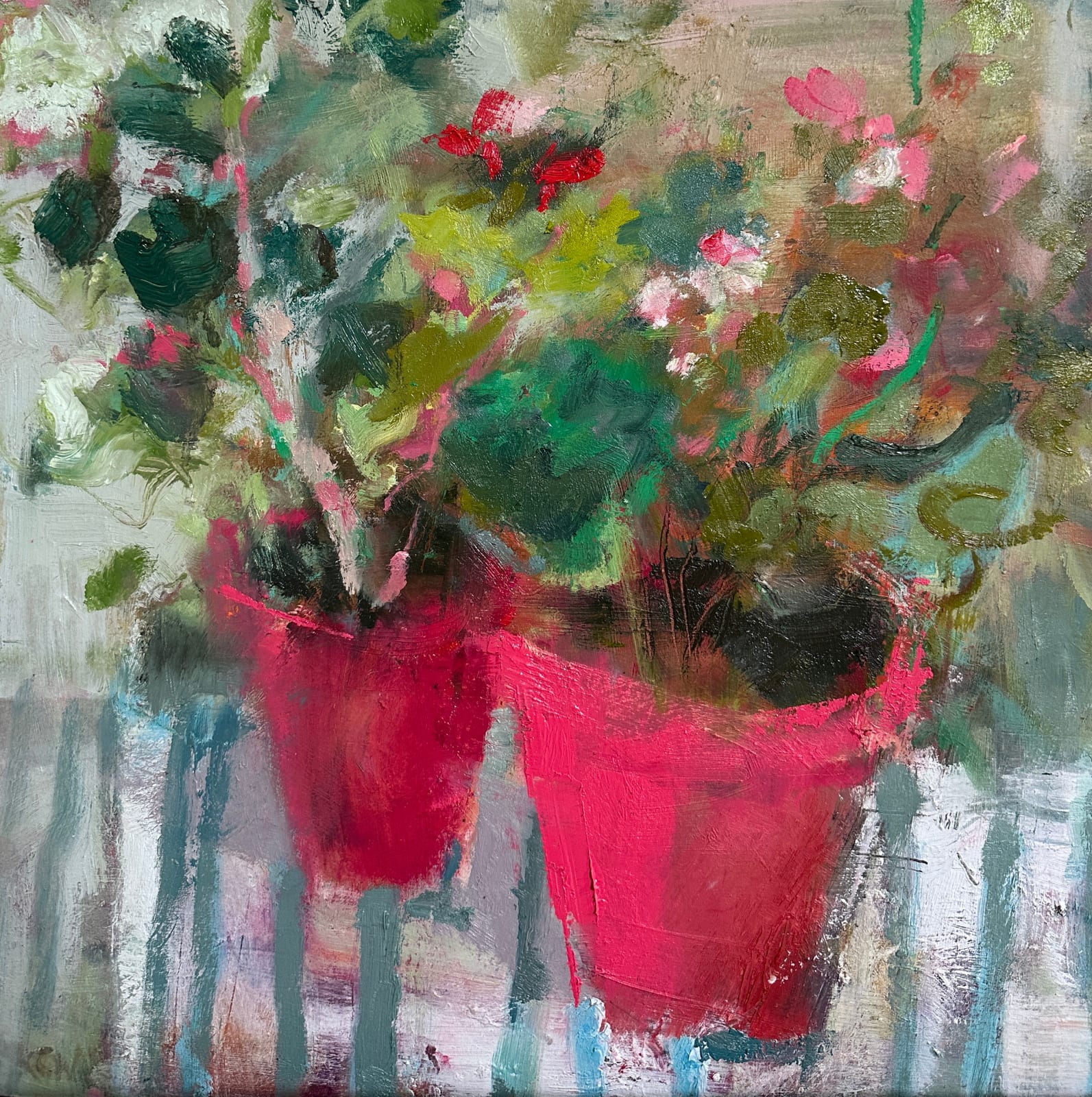 KATE CORBETT-WINDER, Pelargoniums