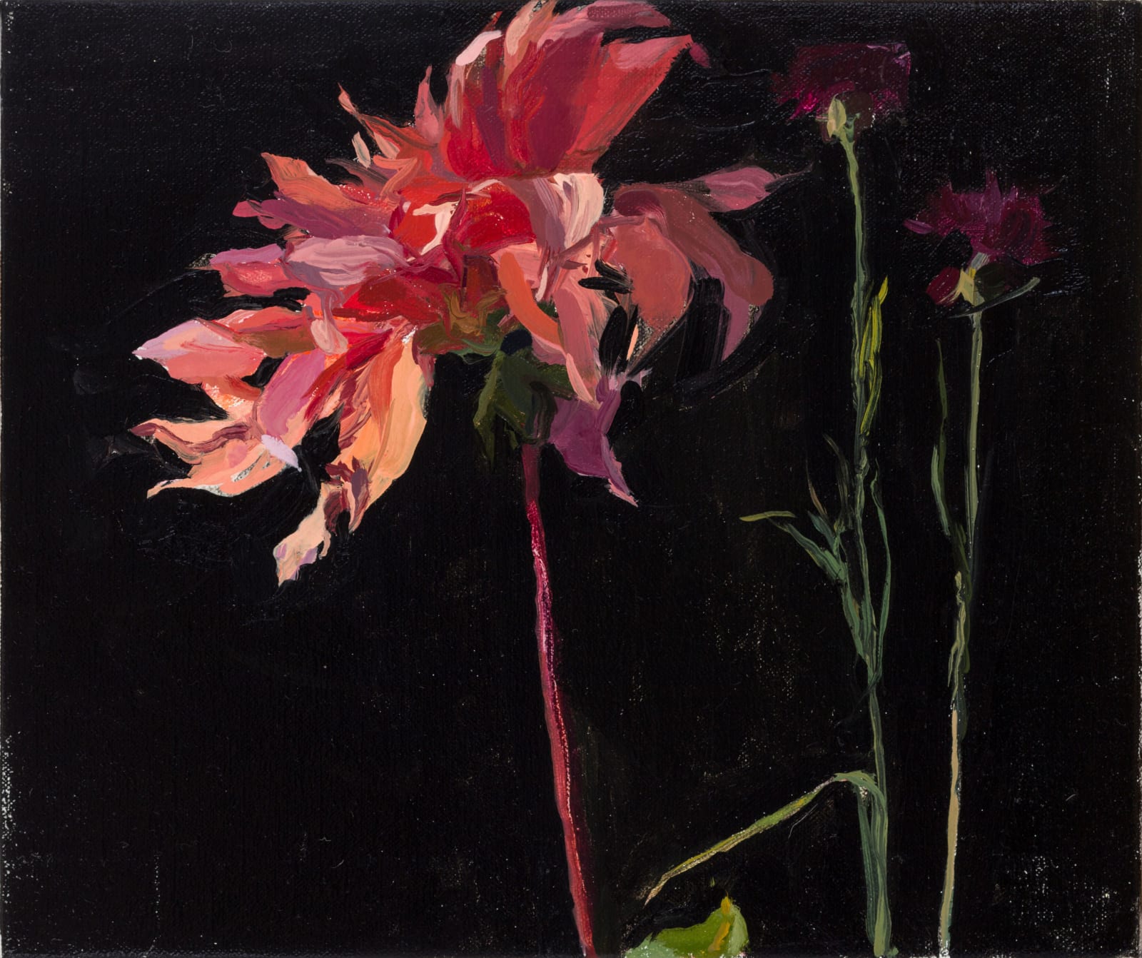 LAURA SMITH, The Slender Stalk, 2023