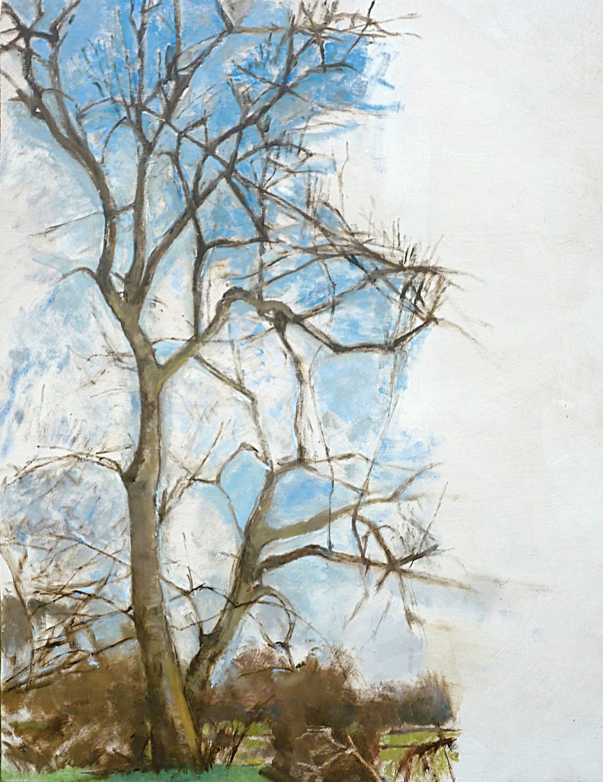 PATRICK GEORGE, Ash Tree in Winter
