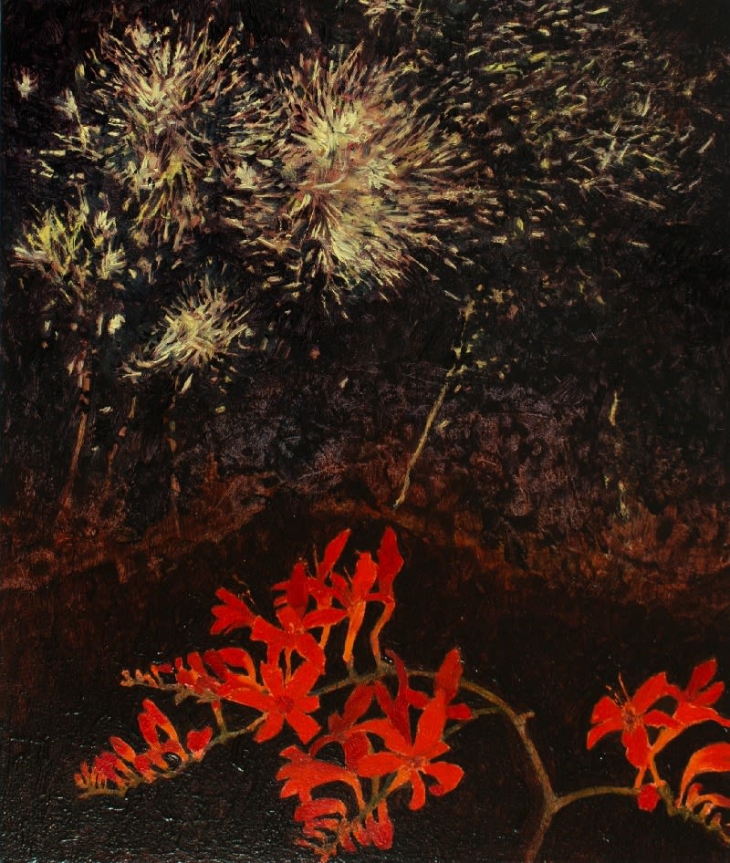 VICTORIA CROWE, Ferragosto, Fireworks