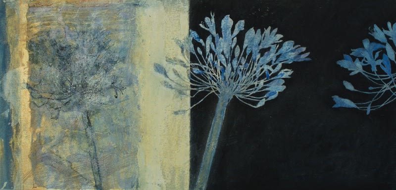 VICTORIA CROWE, Agapanthus Shift