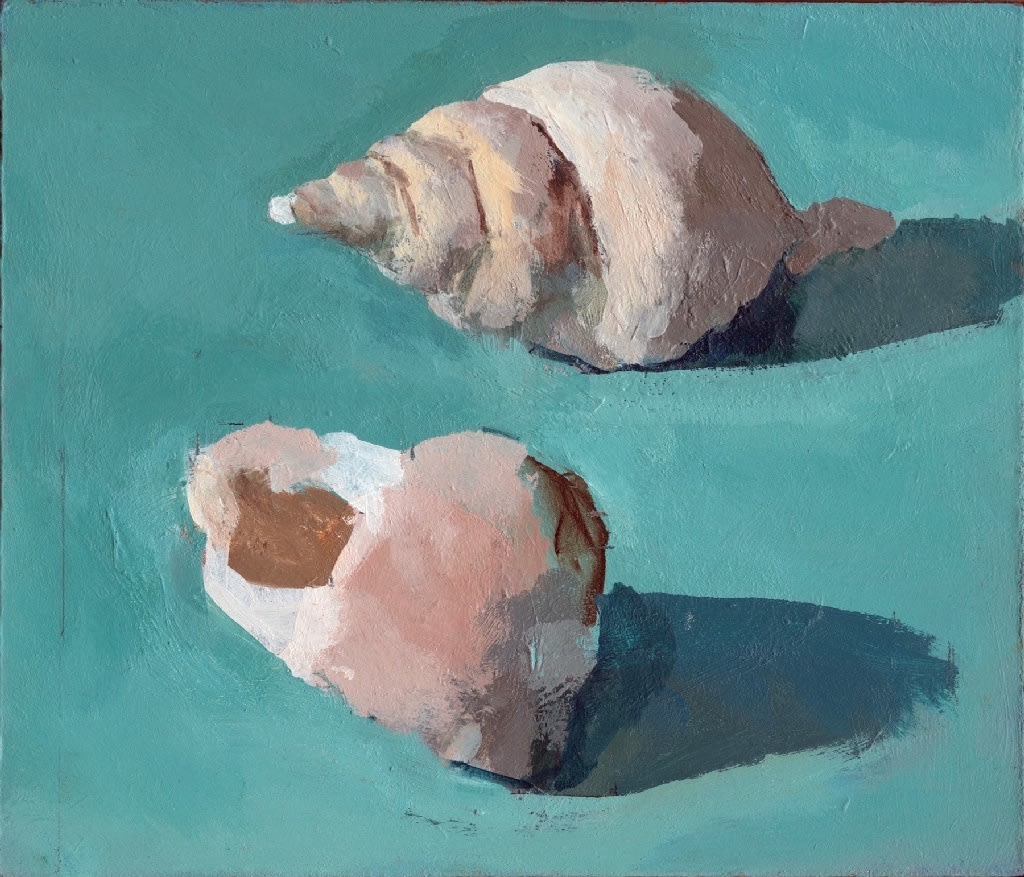 ROBERT DUKES, Shells from Salcombe Bay, 2019