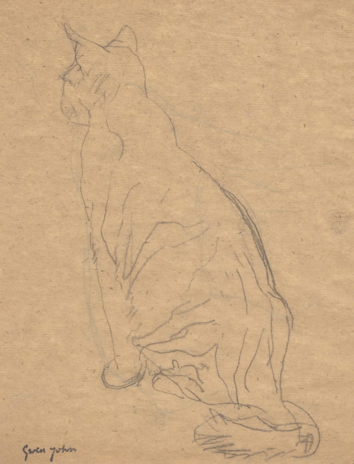 GWEN JOHN, Seated cat, from behind, facing left