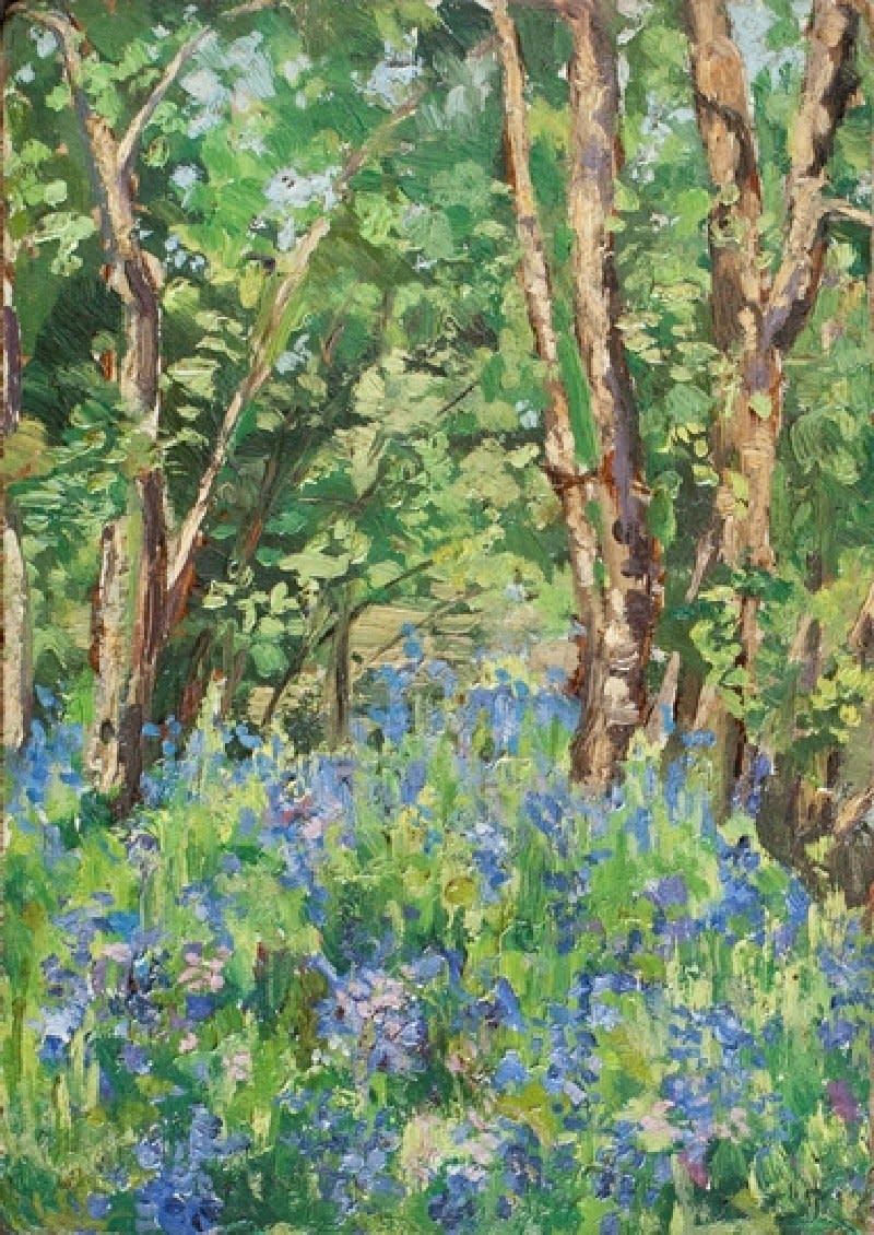 PHYLLIS ANNIE EYTON, Bluebell Wood