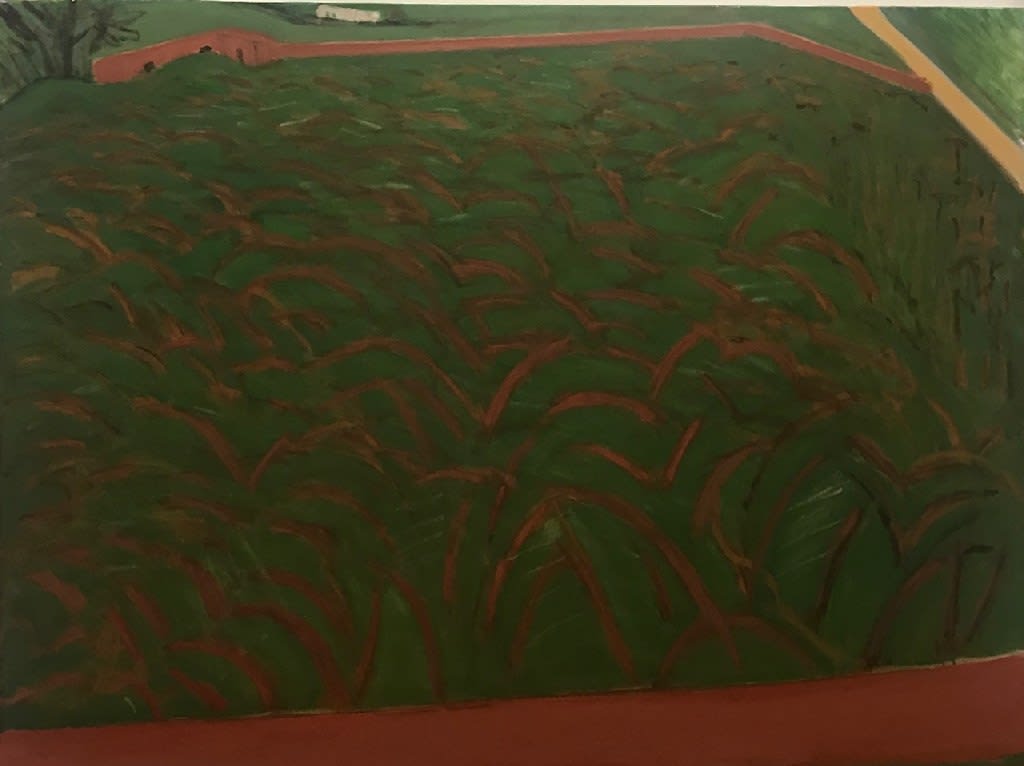 ANN DOWKER, Field at Tod, 2020