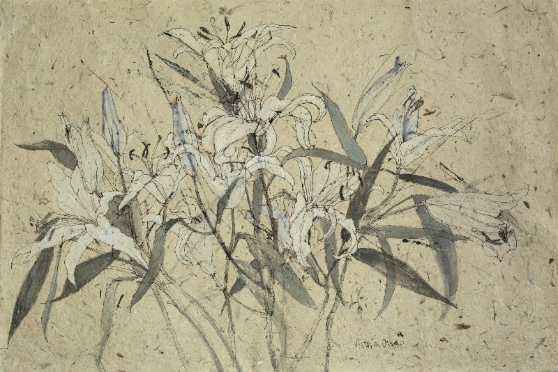 VICTORIA CROWE, Drawing Lilies