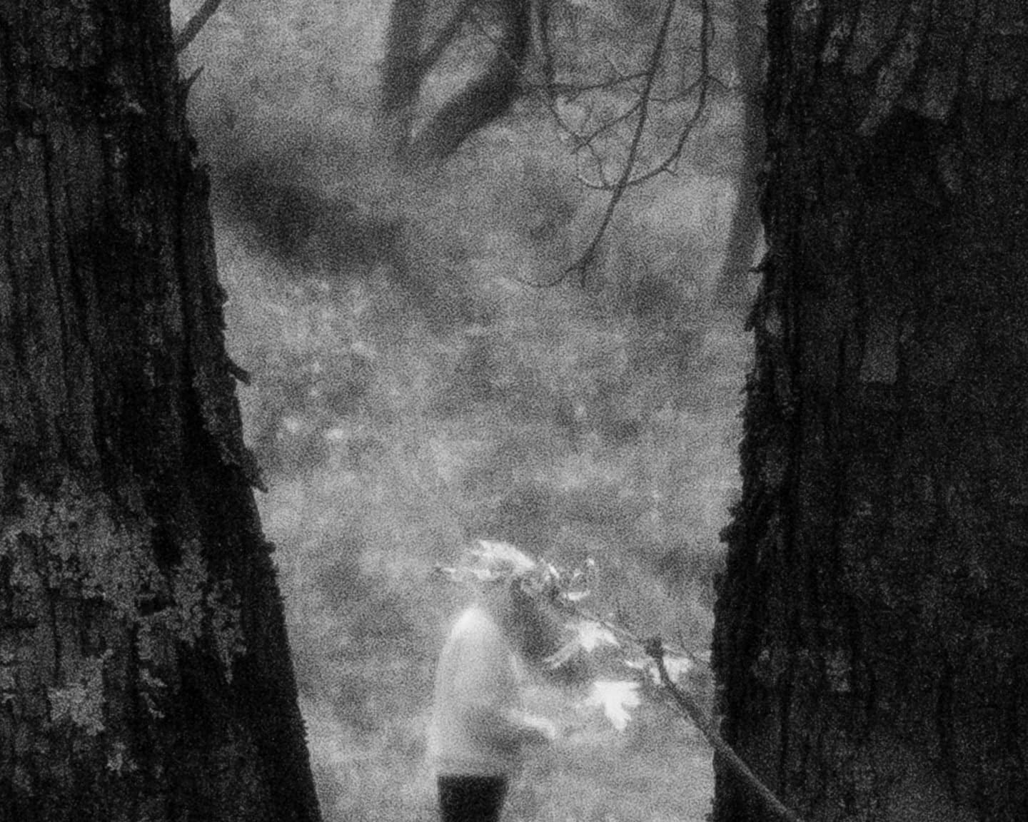 Brea Souders, End of the Road #34, 2020