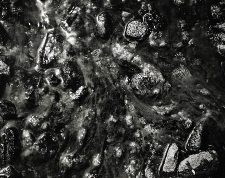 Frederick Sommer, Untitled (Creekbed), n.d.