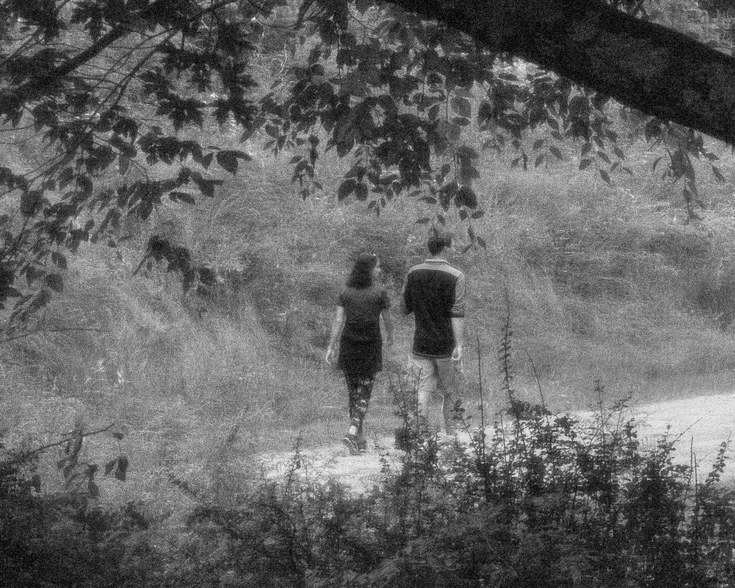 Brea Souders, End of the Road #58, 2020