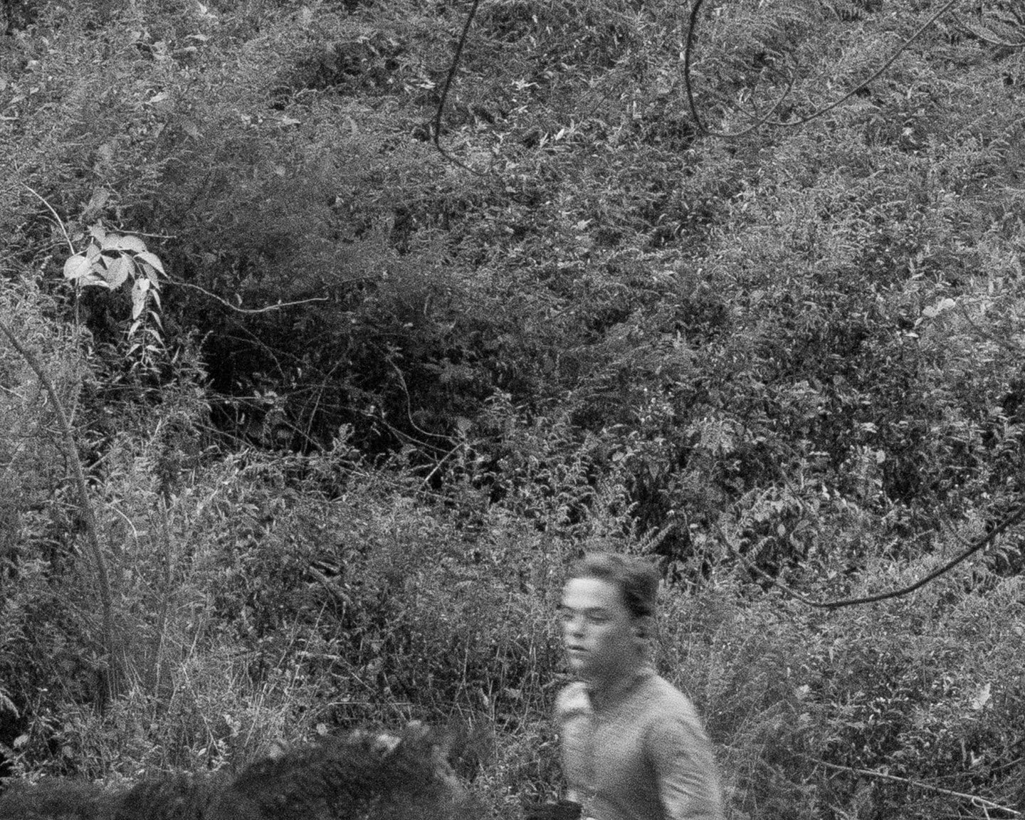 Brea Souders, End of the Road #67, 2020