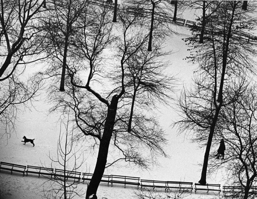 André Kertész, Washington Square Park, January 17, 1965