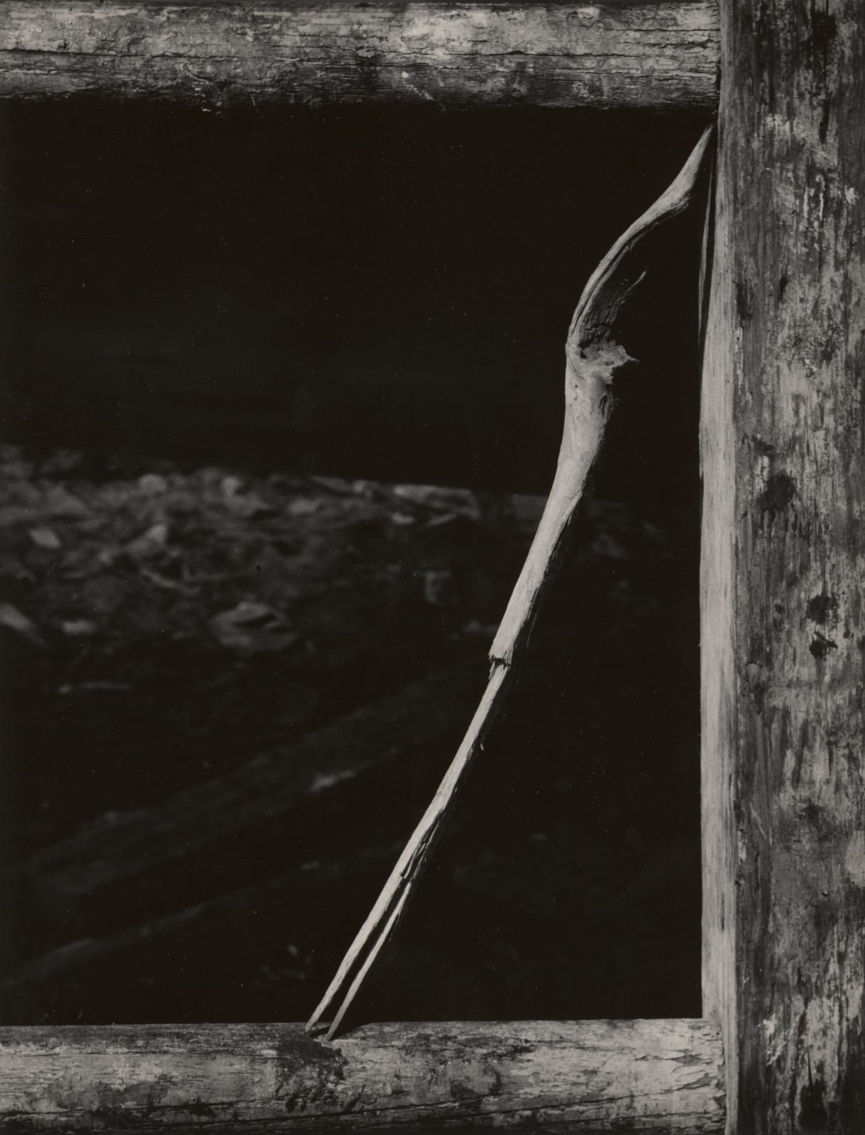 Aaron Siskind, Untitled, 1945