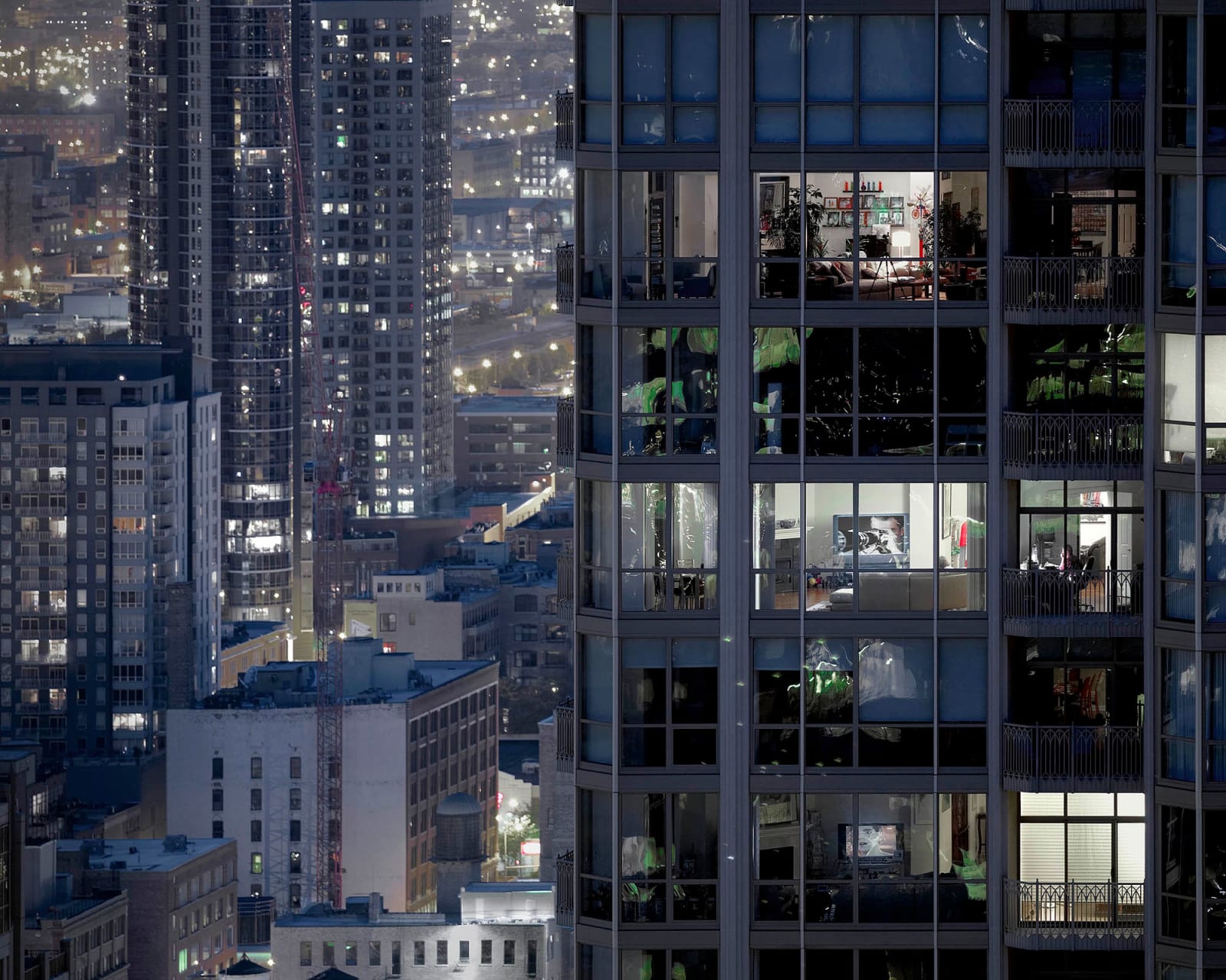 在庫一掃セール売れ筋ランキング Transparent Wolf, Michael City Silverstein Bruce | 2007 #88, アート・デザイン・音楽