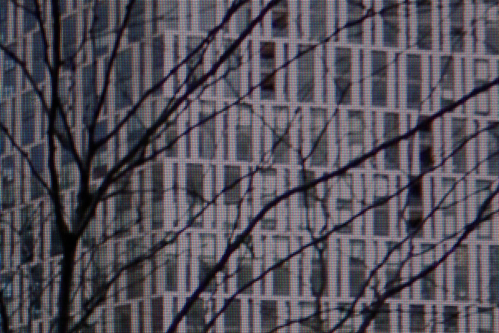 Michael Wolf, Manhattan Street View #02, 2010