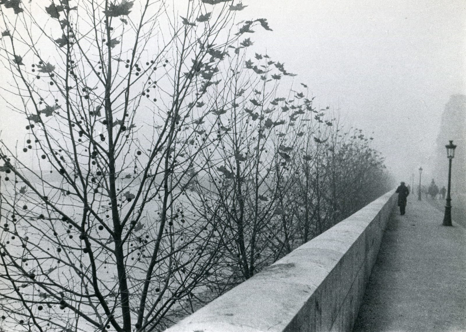 André Kertész, The Quais at Early Morning, Paris, 1929
