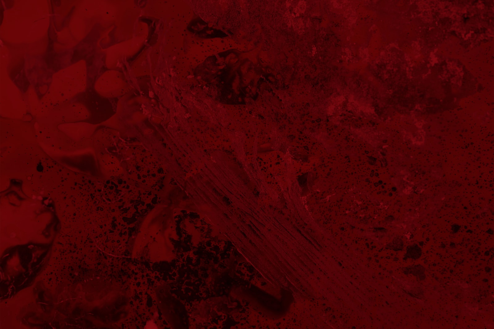 Dakota Mace, Łichíí II (Red), 2019