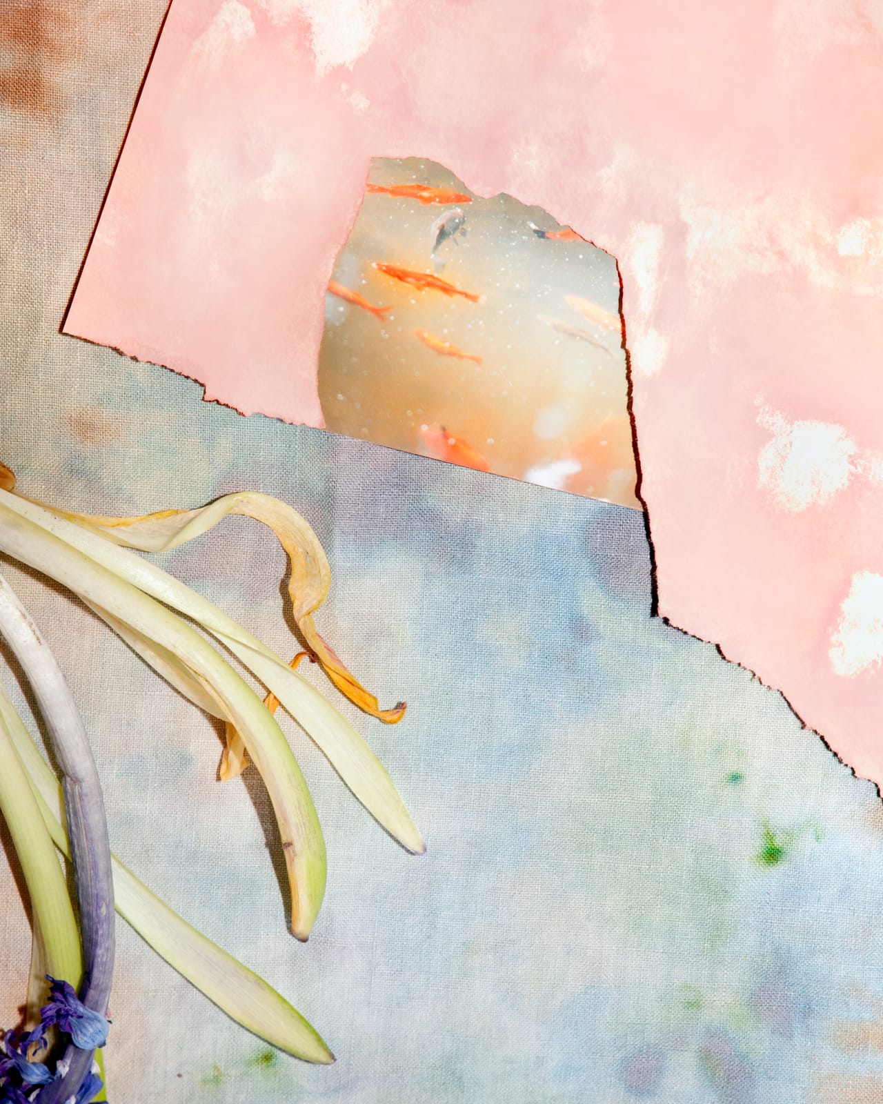 Brea Souders, Under Water, 2012