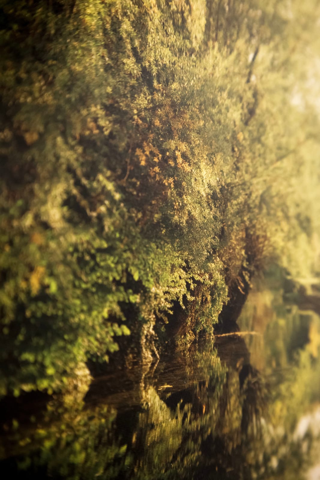 Elger Esser, Chamesson, 2018