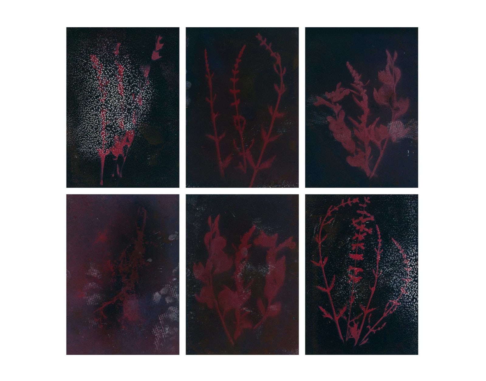 Dakota Mace, Tozodizin (Prayer) Dahodiyinii (Sacred Places), 2021