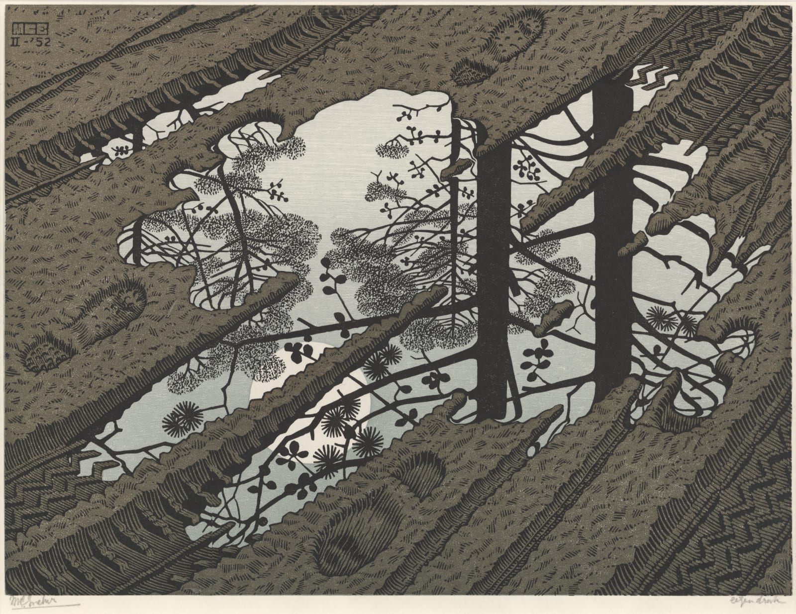 M.C. Escher, Puddle, 1952