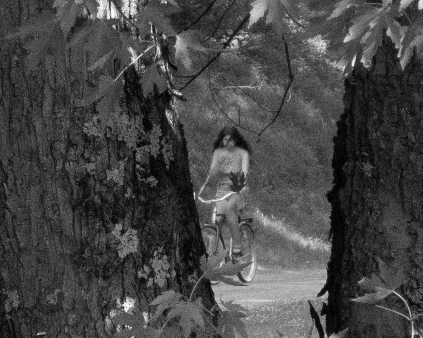 Brea Souders, End of the Road #44, 2020